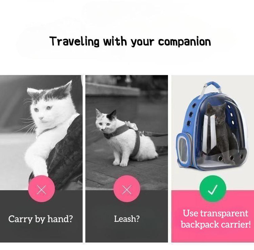 Pet Backpack Carrier, Breathable, Transparent, with Mesh Pocket and Adjustable Straps, Suitable for Outdoor Travel