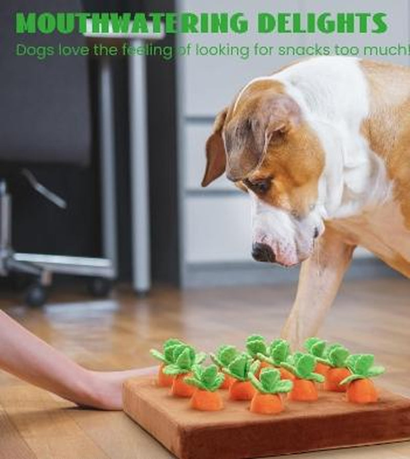 Nocciola 12 Pcs Carrot Field Dog Squeaky Toys with Food Dispensing Carrot Farm, Dog Enrichment Toys for Hide and Seek, Puzzle Toys for Small and Medium Dogs, Play and Treat Set