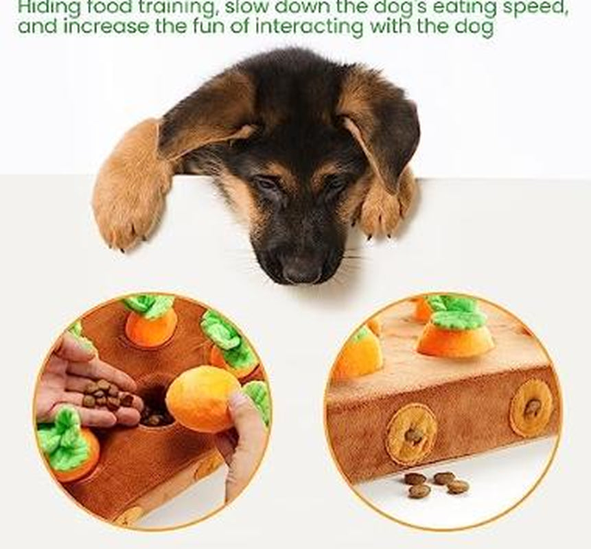 Nocciola 12 Pcs Carrot Field Dog Squeaky Toys with Food Dispensing Carrot Farm, Dog Enrichment Toys for Hide and Seek, Puzzle Toys for Small and Medium Dogs, Play and Treat Set