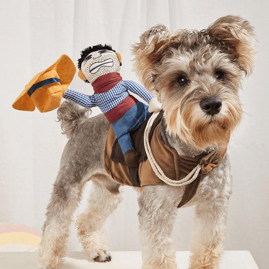 Adorable Cowboy Rider Pet Costume - Breathable, All-Season Fun for Dogs & Cats, Ideal for Parties Hawkvest